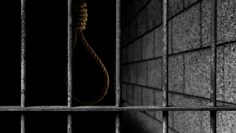 Causes and The Impact of Inmate Suicides
