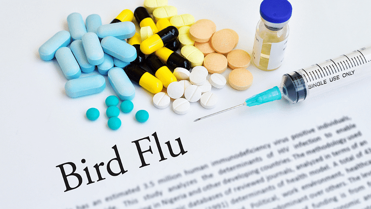 Control of Bird Flu Virus in UK