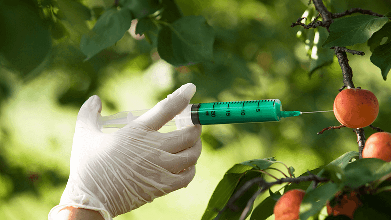 Genetically Modified Foods Research Paper Example