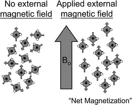 external magnetic 