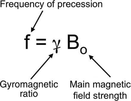 frequency of precession