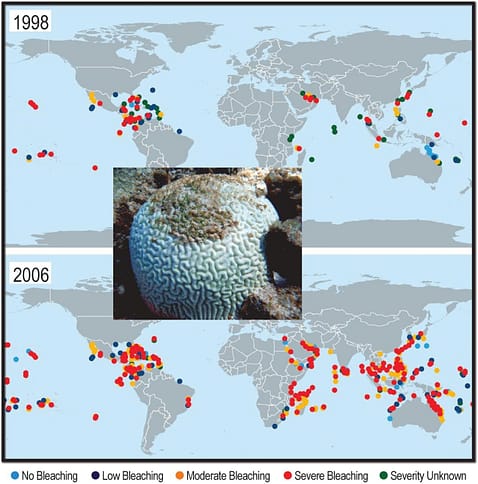 Bleaching of coral reefs due to increased aquatic temperature as a result of global warming