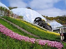Landscape and Internal Structure of Eden Project Cornwall UK