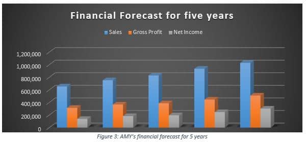 Financial Forecast for five years