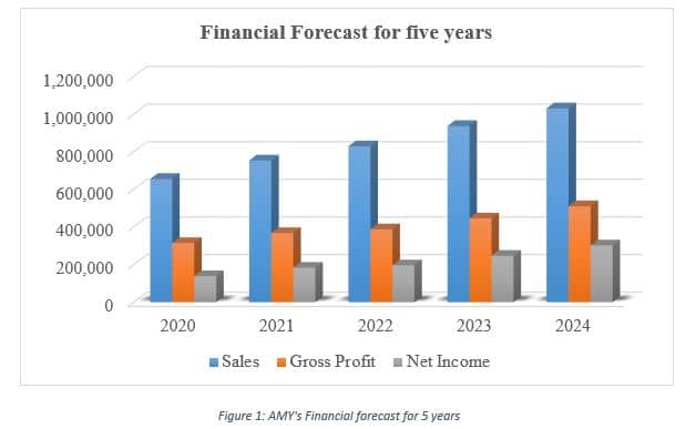 AMY's Financial forecast for 5 years