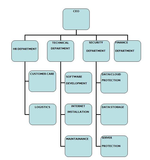 Organization Chart 