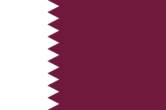 How to Check Qatar Visa Status Online
