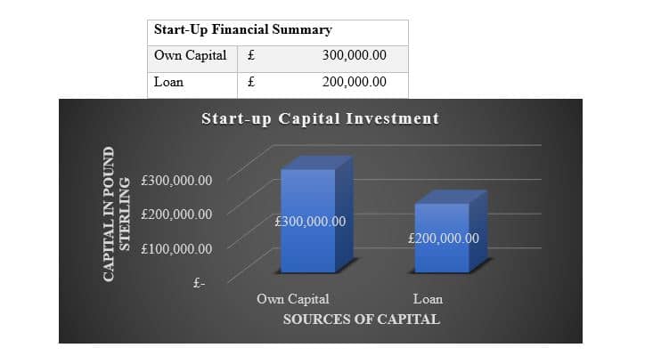 Financial Model (Own Capital and Loan)