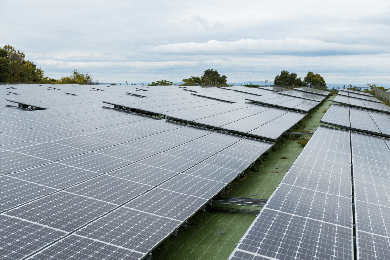 Solar Energy Business Plan